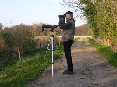 Bird Watching  Bild: Arnold Schongen